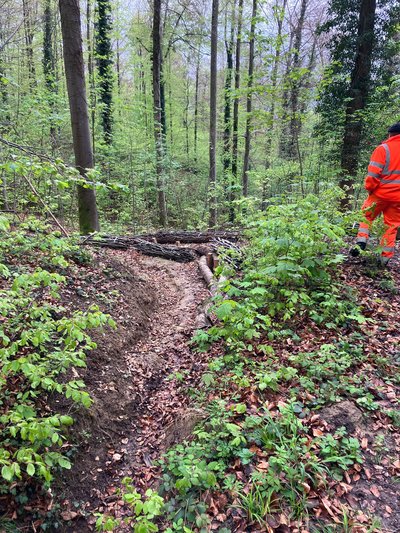 Versickerungsgraben in Grenzach