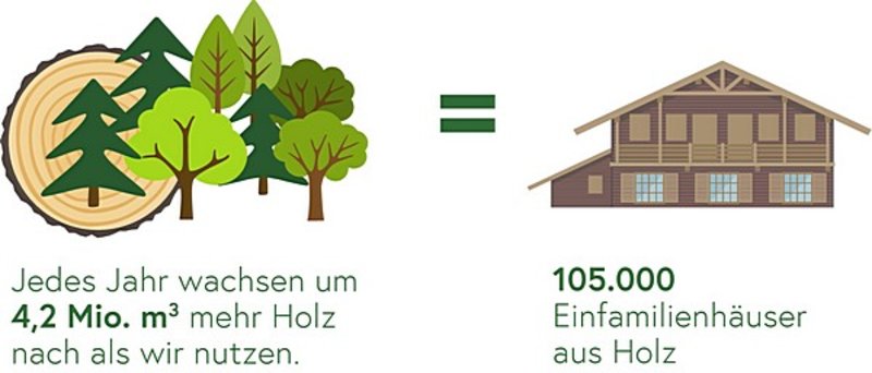 Österreichs Wald wächst jedes Jahr um 3400 Hektar - waldwissen.net