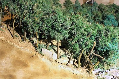 Ausschnitt links: Bestandesquerschnitt mit unbehandeltem Waldrand rechts; zur Straße geneigte Bäume mit überhöhtem Bestockungsgrad, der absterbende Äste und letztlich das Absterben ganzer Bäume zur Folge hat. Die dichte Traufbildung verhindert eine Erhöhung der Artenvielfalt; Sonderstandorte wie Felsvorsprünge oder Steinbruchrelikte gehen der Artenvielfalt verloren.