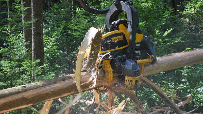 Debarking Head im Einsatz