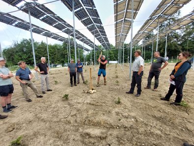 FVA-Mitarbeiter Frank Formanski schlägt einen Markierungspfosten zwischen Versuchsfelder, um die Baumarten Nordmanntanne und Weißtanne voneinander unterscheiden und erforschen zu können