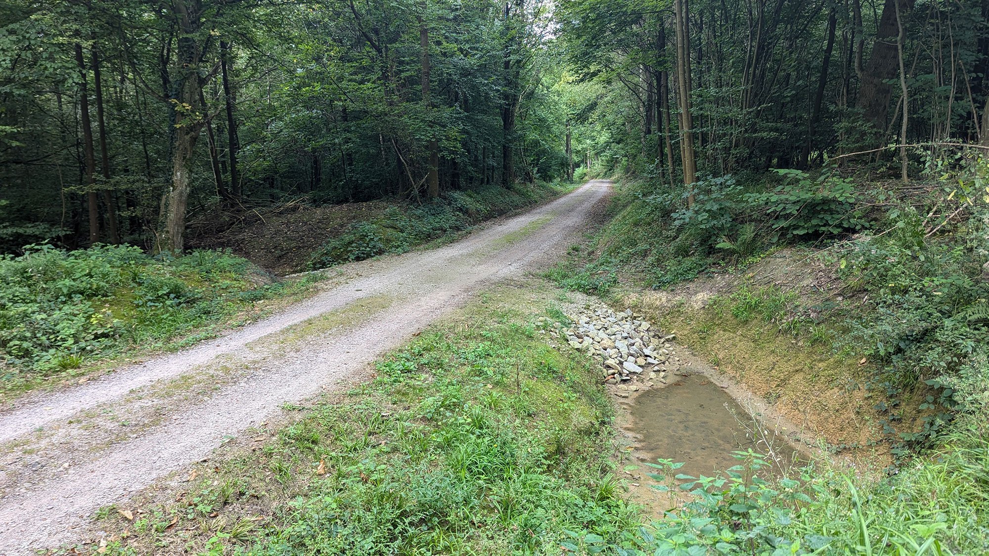 Wegequerungen verbessern: Ersetzen von Rohrdurchlässen durch Rigolen