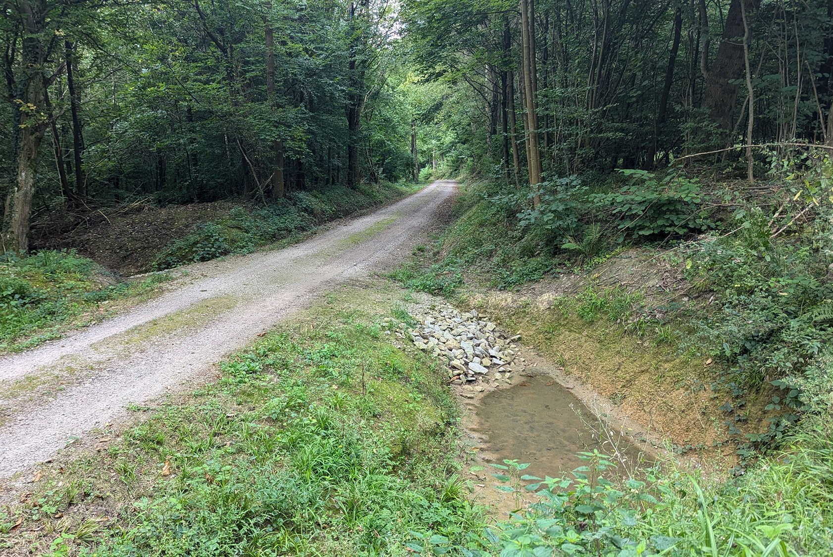 Durchlässige Schotterriegel im Wegekörper: Rigolen