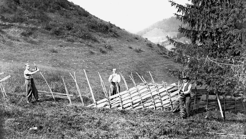 Schweiffelzaun, Teufenthal bei Thun