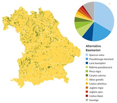 Bayernkarte mit Baumartenverteilung