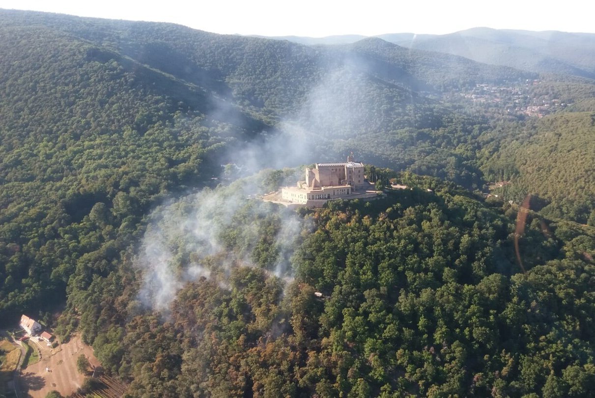 Waldbrand am Hambacher Schloss (Foto Polizeiinspektion Neustadt Katja Weickert)