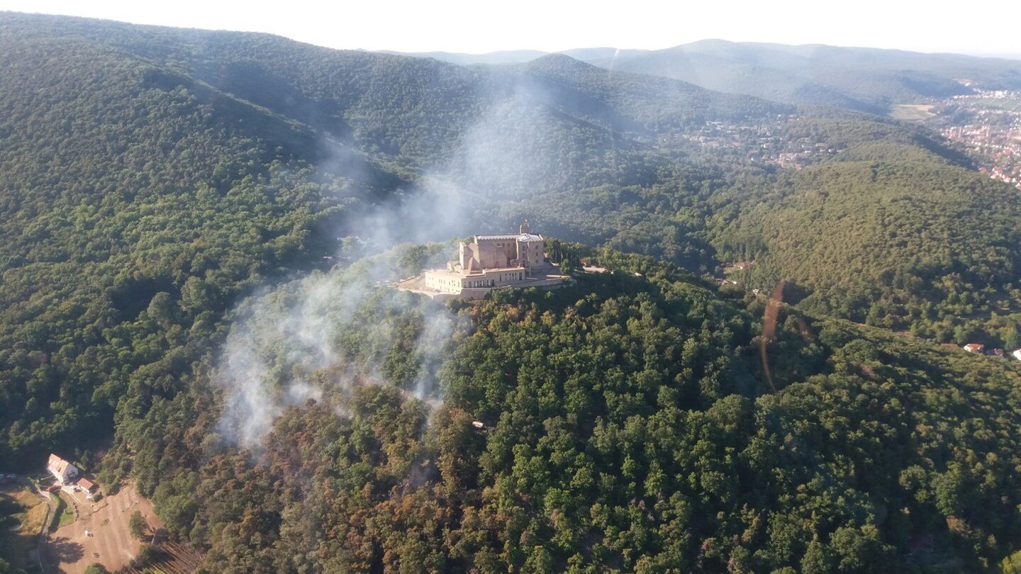 Waldbrand am Hambacher Schloss: Analyse eines Ausnahmeereignisses 1 Waldbrand am Hambacher Schloss: Analyse eines Ausnahmeereignisses