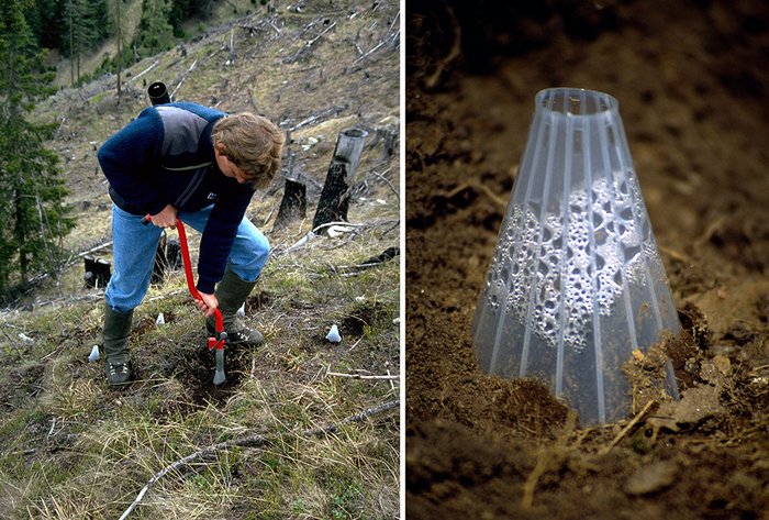 kegelförmige Treibhäuschen