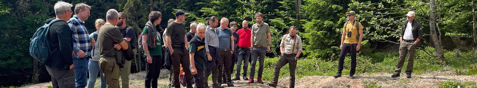 Gemeinsam Lösungen entwickeln: Im Pilotlandkreis Rastatt zeigt die Waldnaturschutzberatung neu angelegte Tümpel als Lebensraum für die Gelbbauchunke. 