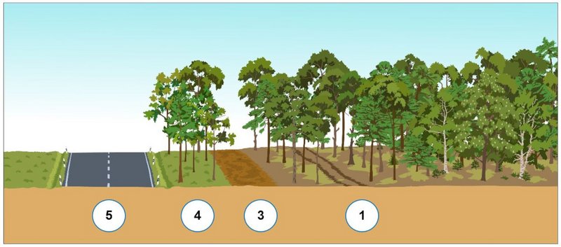 Grafik: Aufbau eines Schutz- und Wundstreifensystems