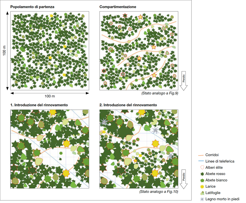 compartimentazione nel bosco
