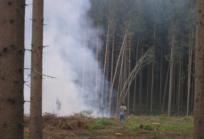 Feuer aus Waldrestholz im Wald