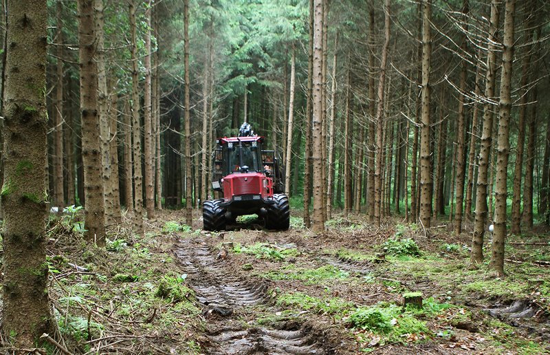 forwarder on  logging trail