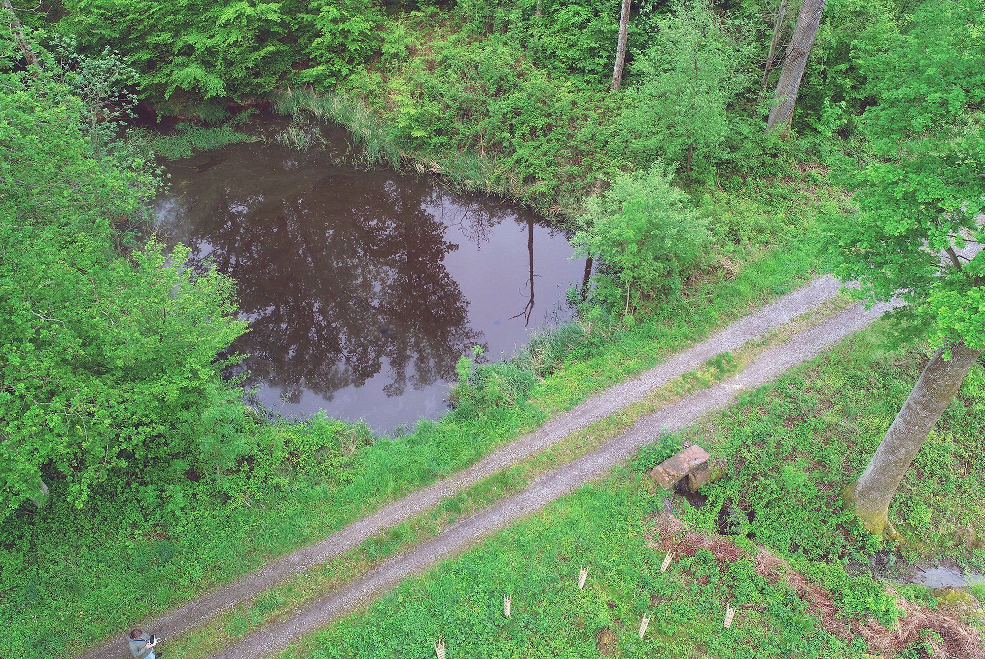 Kleinrückhalt am Forstweg: Das Wasser wird oberhalb des Wegs kurzzeitig gestaut, wodurch Abflusswellen verzögert und Hochwasserspitzen reduziert werden.