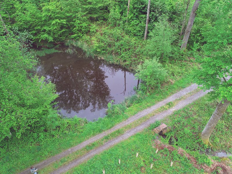 Kleinrückhalt am Forstweg: Das Wasser wird oberhalb des Wegs kurzzeitig gestaut, wodurch Abflusswellen verzögert und Hochwasserspitzen reduziert werden.
