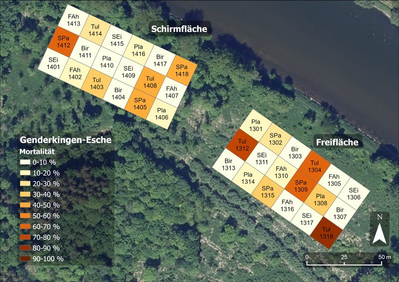 Karte mit mehreren Parzellen