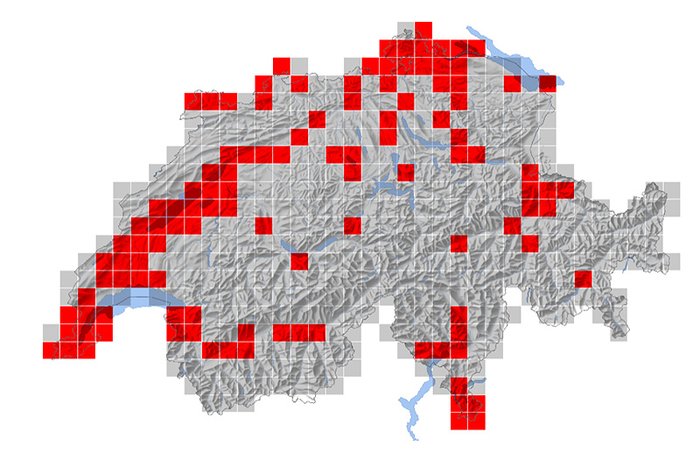 Verbreitung der Turteltaube in der Schweiz
