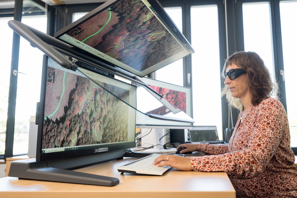 Eine Frau schaut auf mehrere Monitore