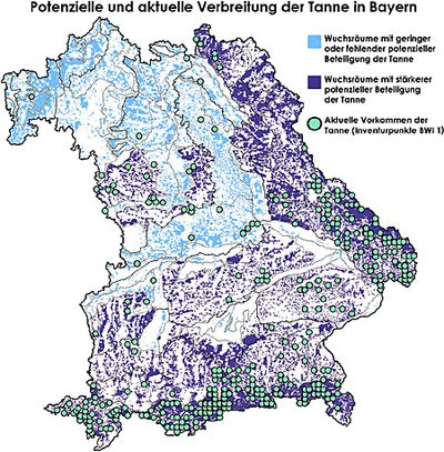 Reale und potenzielle Verbreitung der Tanne in Bayern