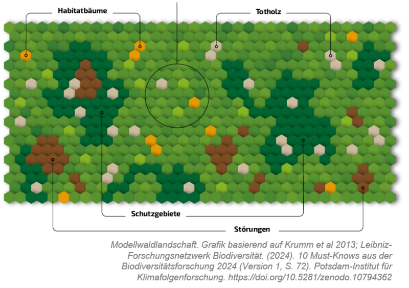 Modellwaldlandschaft