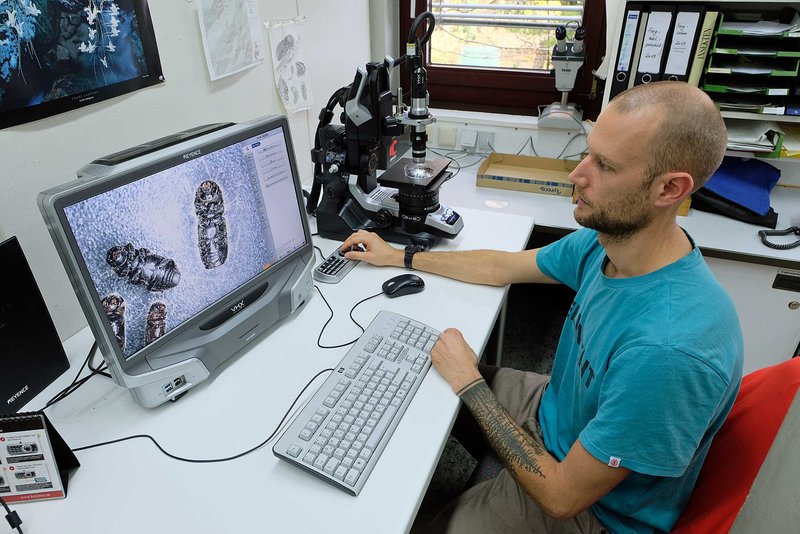 Jonas Hinze am digitalen Mikroskop (Foto: FVA)