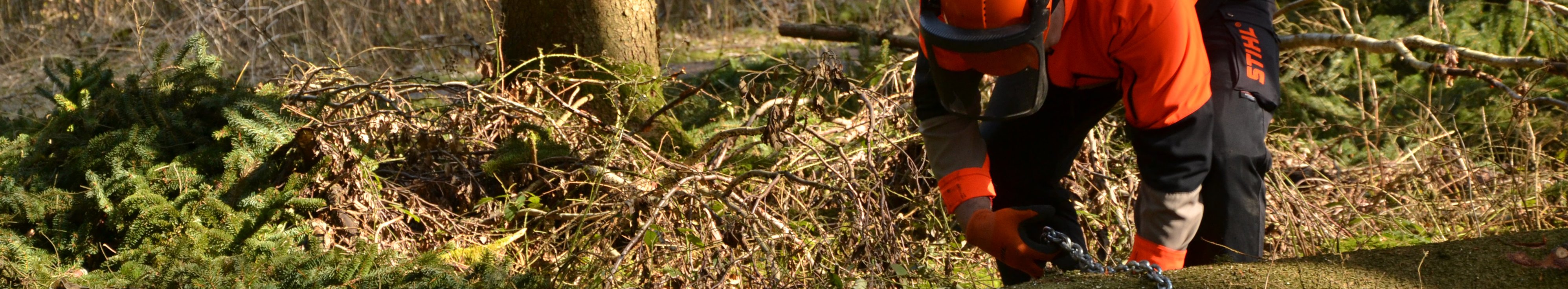 Forstwirt zieht ein Seil von einer Seilwinde aus