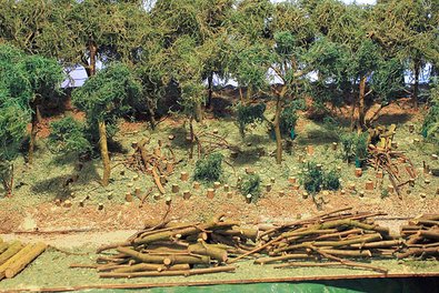 Waldbauliche Überführung herkömmlicher Waldränder mit überbestockten Randbereichen in mittelwaldähnliche Strukturen. Holzanfall zur kaskadenartigen Verwertung sortiert. Ergänzung mit den gewünschten licht- und wärmeliebenden, stark zurückgegangenen Zielbaumarten, die gleichzeitig als Genreservoir dienen können.