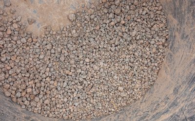 Clay-coated birch seeds