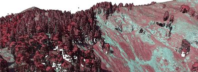 Die 3D-Punktewolke roh mit Infrarot-Falschfarben