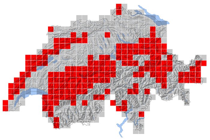 Verbreitung der Waldschnepfe in der Schweiz