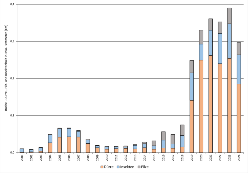 Mit den Einschlagsursachen "Dürre", "Insekten" und "Pilze" in Baden-Württemberg angefallenes Buchenholz (zufällige Nutzungen) über alle Waldbesitzarten von 2001 bis 2024 (Grafik: FVA BW/Wußler; Quelle: LFV und ForstBW)