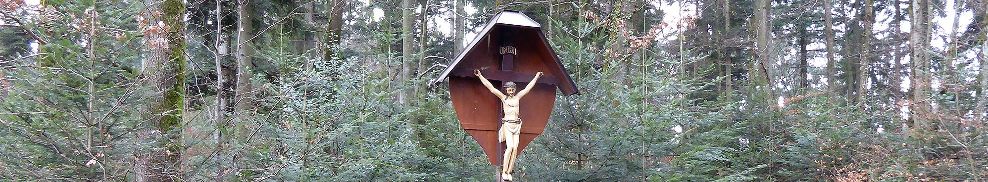 Das Gebiet „Luser“ im Schwarzwald war rund 600 Jahre waldfrei. Aufforstung und Pflege entwickelten es zu einem idealtypischen Buchen-Tannen-Fichtenwald.