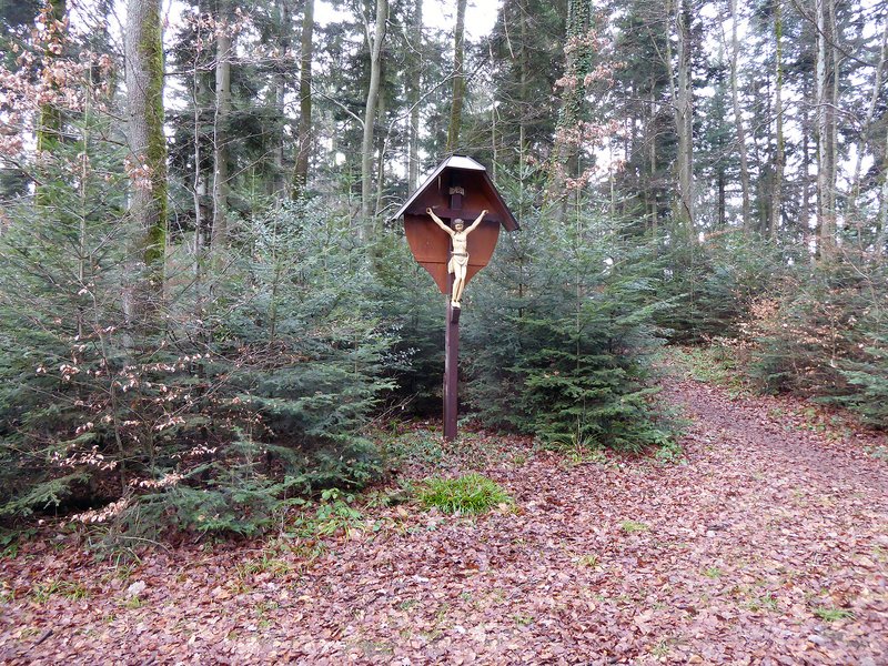  Das Gebiet „Luser“ im Schwarzwald war rund 600 Jahre waldfrei. Aufforstung und Pflege entwickelten es zu einem idealtypischen Buchen-Tannen-Fichtenwald. Dieser Kulturwald wird teils irrtümlich als urwaldähnliches Naturerbe ohne menschlichen Einfluss interpretiert.