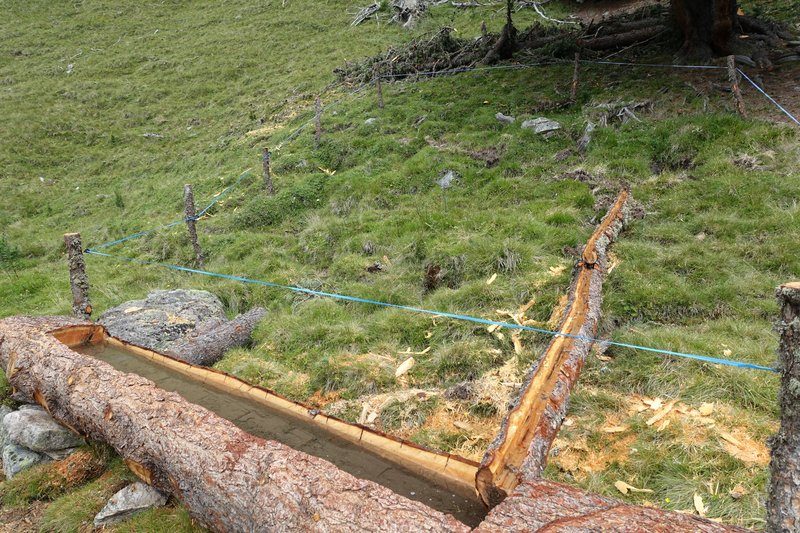 Quelle endet in Viehtrog