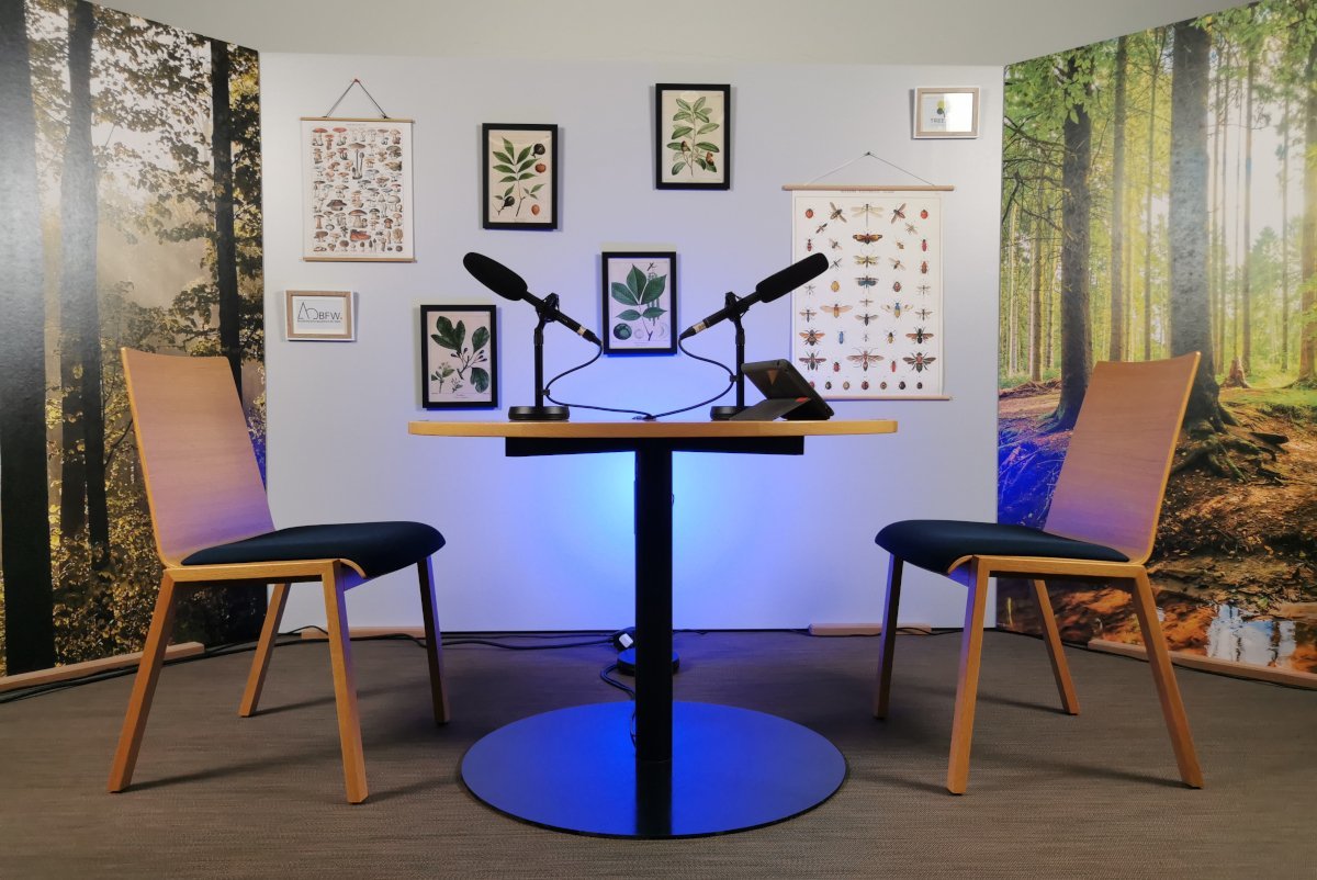 Aufnahmeset für Videopodcast mit zwei Stühlen und einem Tisch mit Mikrofonen