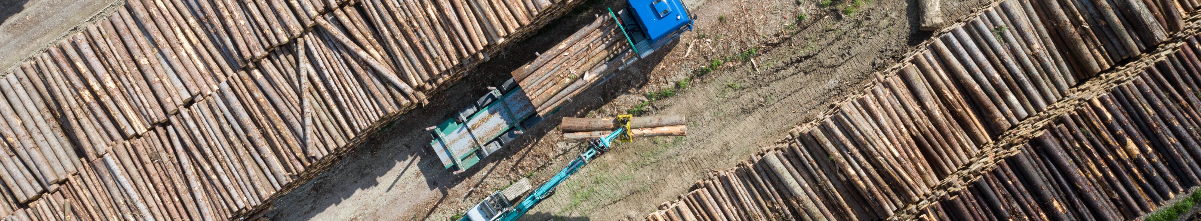 großer Holzpolder