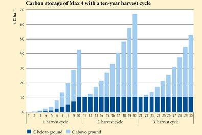 Graphic showing 3 harvest cycles that rise and fall at harvest.