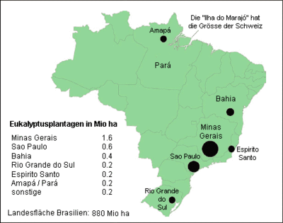 Bundesstaaten mit bedeutendem Eukalyptus-Anbau in Brasilien