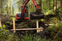 Bagger mit Raupenfahrwerk errichtet im feuchten Wald eine hölzerne Stauvorrichtung aus Brettern und Pfosten; im Vordergrund sind nasser, dunkler Moorboden und Gräser zu sehen.