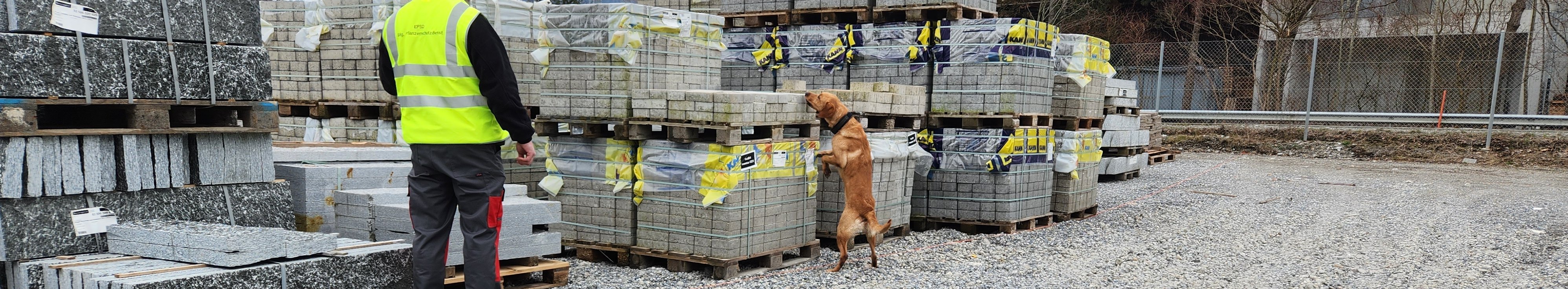 Spürhunde bei der Lagerplatzkontrolle