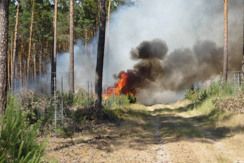 Waldbrand mit starker Rauchentwicklung