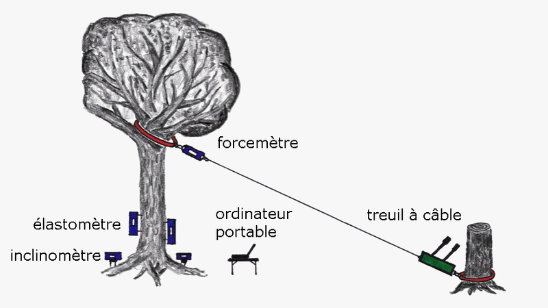 Configuration schématique d'un essai de traction
