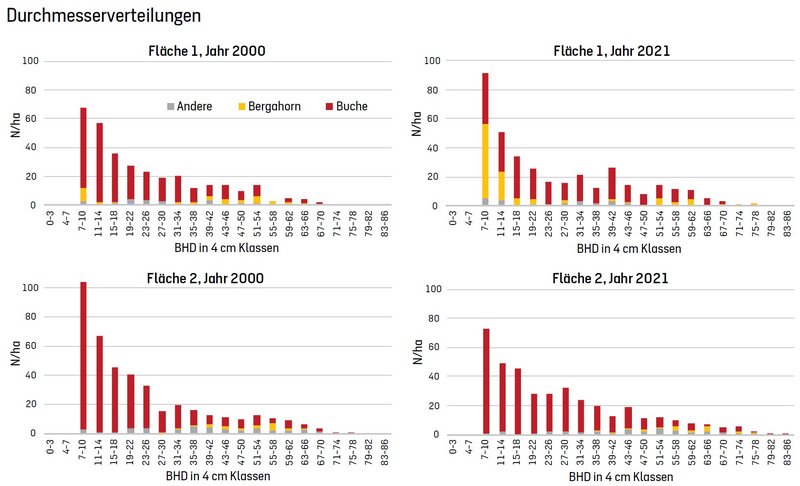 Vier Balken Diagramm