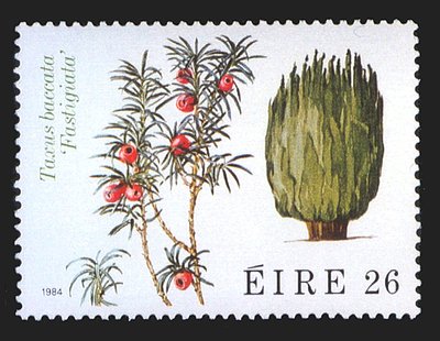 Eibe auf irischer Briefmarke