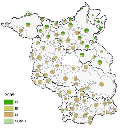 Anteile der Bestandeszieltypen nach Hauptbaumarten in den forstlichen Wuchsbezirken für Dekade 2005