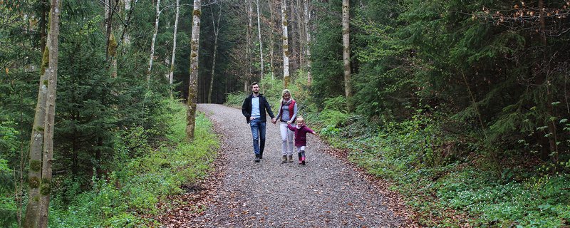 Waldtypische Sinneserfahrungen sind am wichtigsten