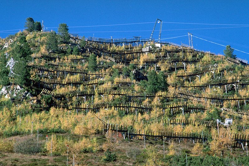 Schutzwald ersetzt Lawinenverbauungen