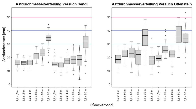 Die Astdurchmesserverteilung der Versuche in Sandl und Ottenstein werden gezeigt.