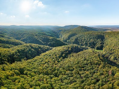 Weitläufiger, dicht bewaldeter Mittelgebirgszug mit bewaldeten Hängen und tief eingeschnittenen Tälern. Im Hintergrund erstrecken sich offene Landschaft und Felder unter blauem Himmel.