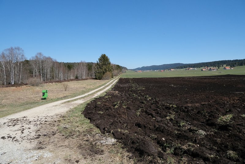 dunkler Boden zeigt ehemaliges Hochmoor
